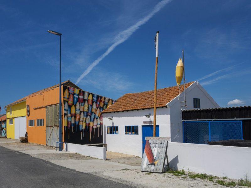 WhatsApp Image 2026-01-24 at 11.28.11 AM (16)